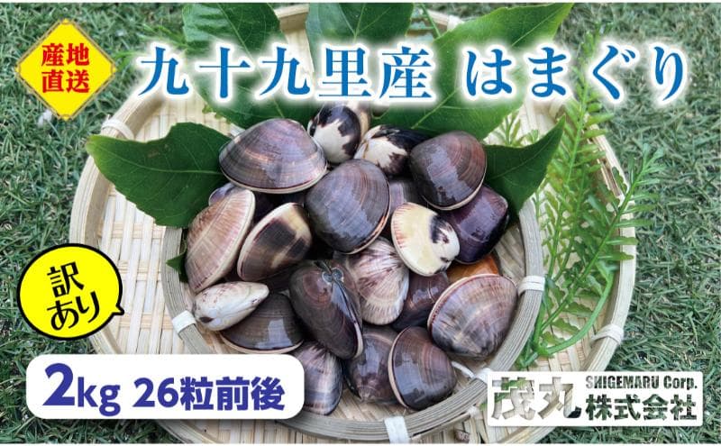 訳あり はまぐり 2kg 割れ 砂抜き無し SDGs ハマグリ 蛤 海鮮 魚介 海産物 国産 天然 産地直送 千葉県 九十九里