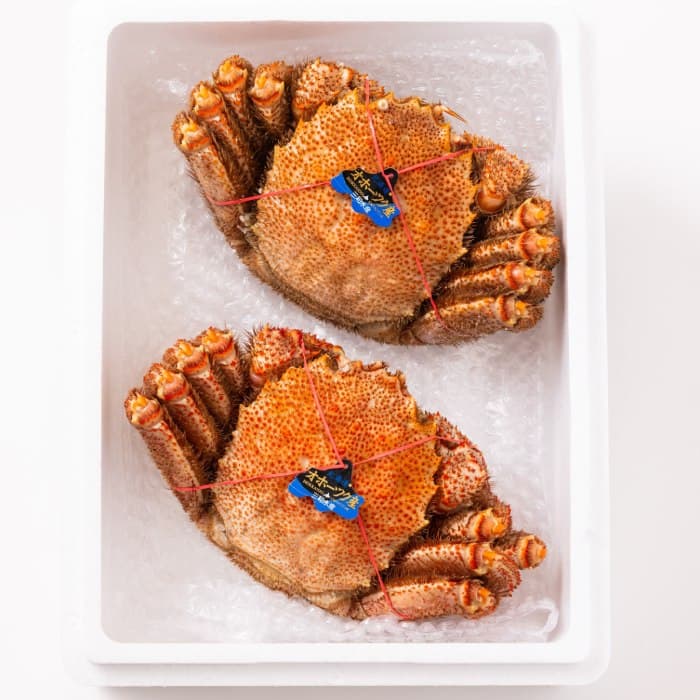 44-20 【年内発送12月15日入金まで】毛ガニ約660g×2尾 within2025