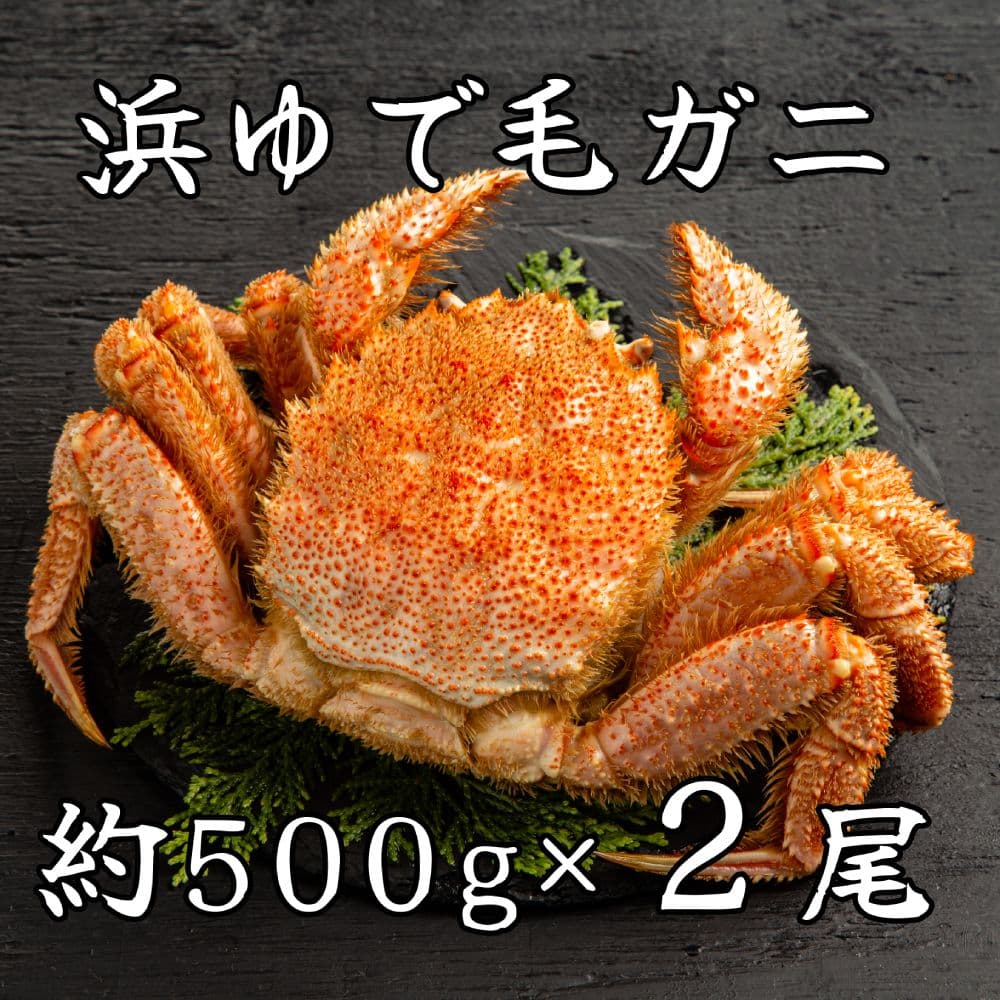 44-37 【年内発送12月15日入金まで】流氷明け浜ゆで毛ガニ約500g×2尾 within2025