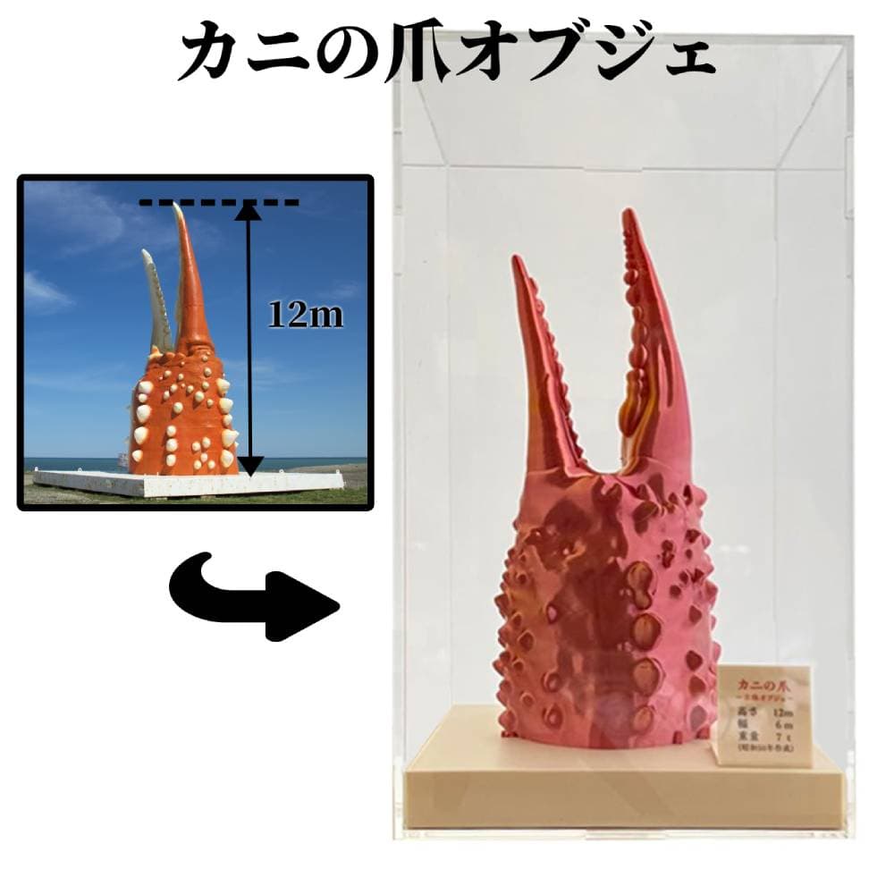 34-23 【年内発送12月15日入金まで】カニの爪オブジェ(大型)ケース付き within2025