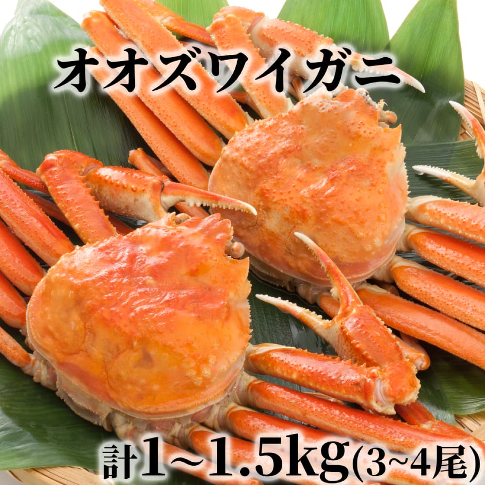 17-203 【年内発送12月15日入金まで】北海道産 ボイルオオズワイガニ姿 計1~1.5kg内外(3~4尾) within2025