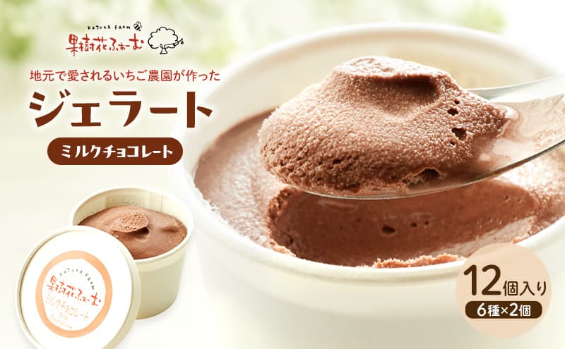 ジェラート チョコ 12個 アイス アイスクリーム スイーツ お菓子 菓子 おやつ 兵庫県 加西市