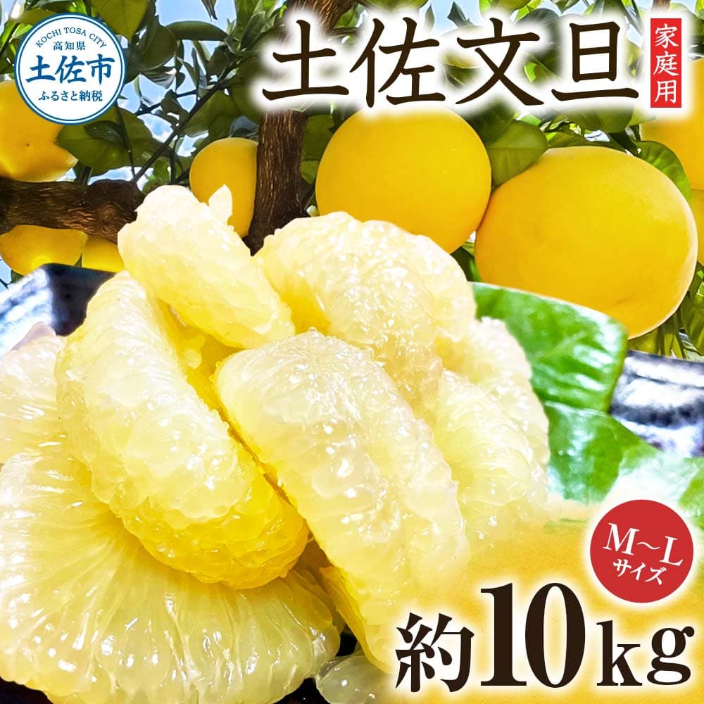 文旦 約10kg M~Lサイズ 24~30玉 ぶんたん ブンタン フルーツ 柑橘 みかん 果物 くだもの 柑橘類 デザート 家庭用 プレゼント ギフト お取り寄せ 国産 常温 配送