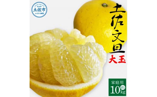 土佐文旦 家庭用 約10キロ(2L~4Lサイズ:16~21玉) 大玉 先行予約 数量限定 文旦 ぶんたん ブンタン 土佐文旦 柑橘 フルーツ 果物