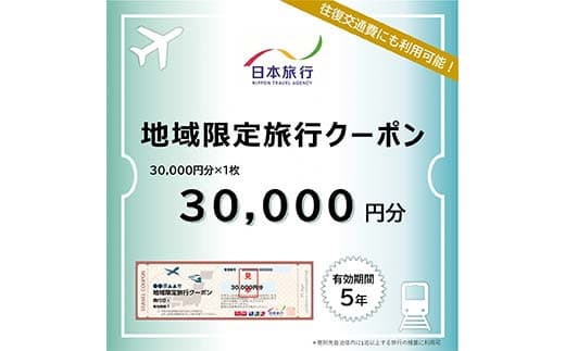 富山県立山町 日本旅行 地域限定旅行クーポン30,000円分 旅 旅行 観光 レジャー チケット クーポン 立山観光 F6T-755