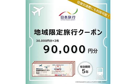 富山県立山町 日本旅行 地域限定旅行クーポン90,000円分 旅 旅行 観光 レジャー チケット クーポン 立山観光 F6T-757