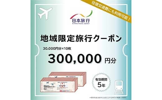 富山県立山町 日本旅行 地域限定旅行クーポン300,000円分 旅 旅行 観光 レジャー チケット クーポン 立山観光 F6T-759