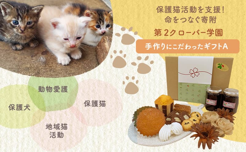 洋菓子 【第2クローバー学園】手作りにこだわったギフトA お菓子 焼き菓子 セット マドレーヌ クッキー マフィン ムラング フィナンシェ ジャム 市原市 千葉県