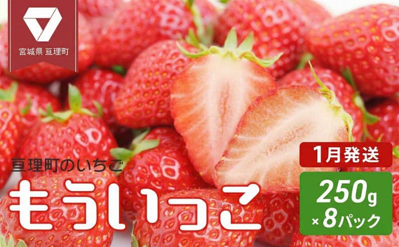 【1月配送】いちご 亘理町のいちご もういっこ 250g × 8パック オンライン決済限定 先行受付中!! 苺 果物 フルーツ イチゴ セット