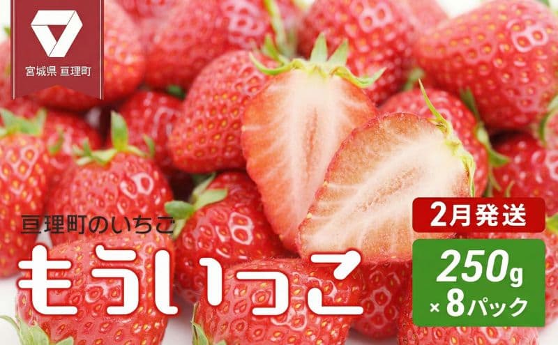 【2月配送】いちご 亘理町のいちご もういっこ 250g × 8パック オンライン決済限定 先行受付中 苺 果物 フルーツ イチゴ セット