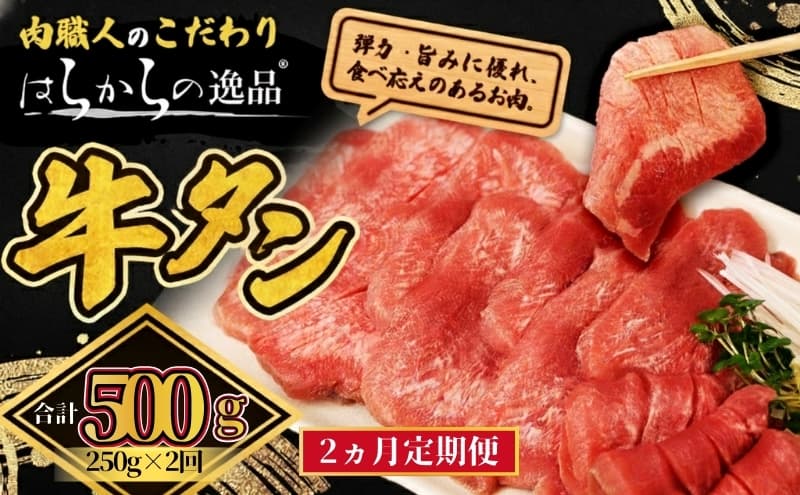 【2ヵ月連続定期便】大人気 牛タン 厳選成牛たん 500g 250g×2回 仙台牛タン