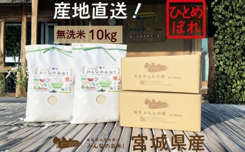 米 ひとめぼれ 無洗米 10kg ご飯 Aランク米