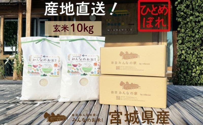 米 ひとめぼれ 玄米 10kg ご飯 Aランク米